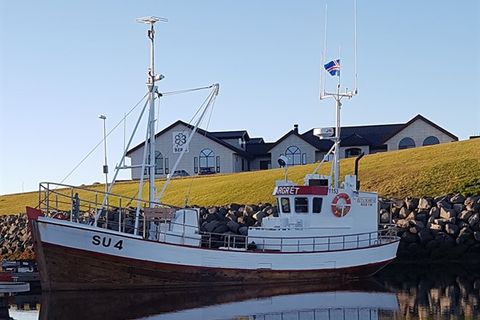 whalewatchingreykjanes.is