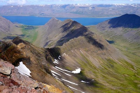 Wild Westfjords