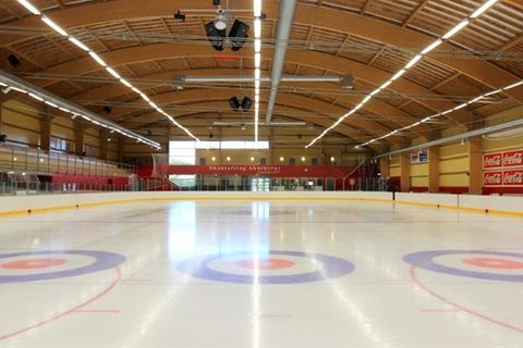 The Skating Arena