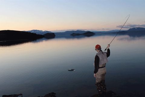 Anglers.is