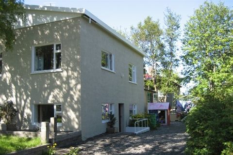 Helgimagri