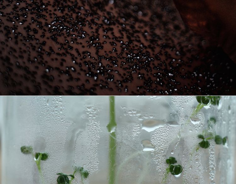 Above / Below horizon- Exhibition