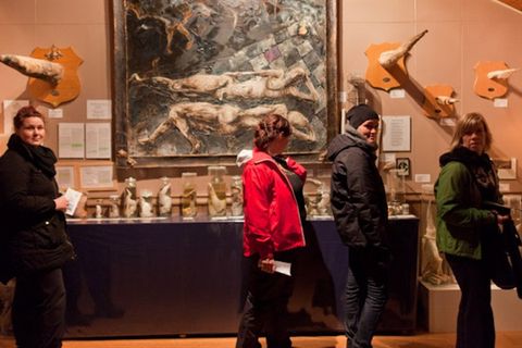 The Icelandic Phallological Museum
