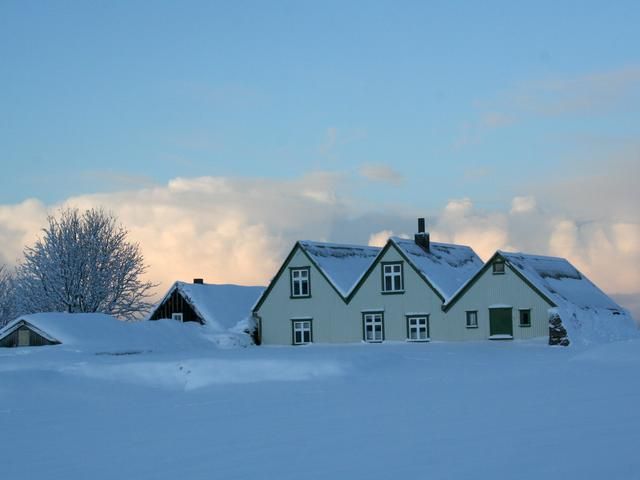 Guided Tour of Árbær Open Air Museum
