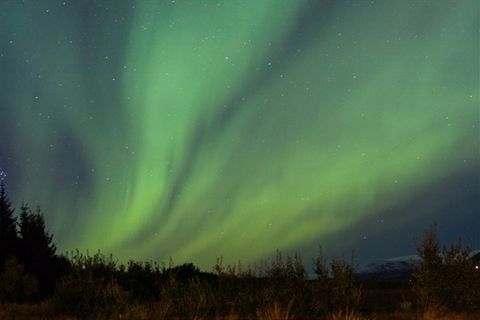 Viking Trail Travel Agency