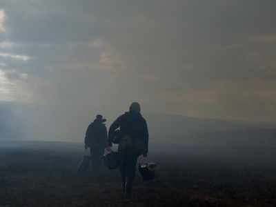 God's Own Country