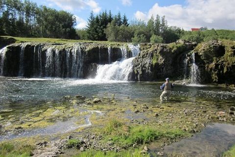 Go fishing Iceland
