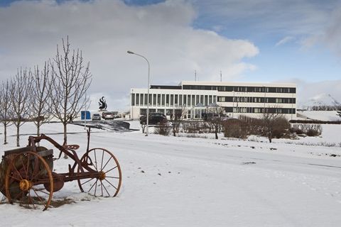 Hótel Höfn