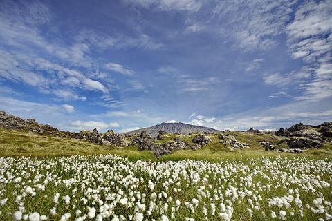 Wonders of Snæfellsnes