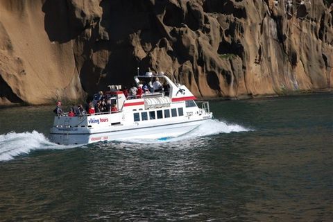 Viking Tours