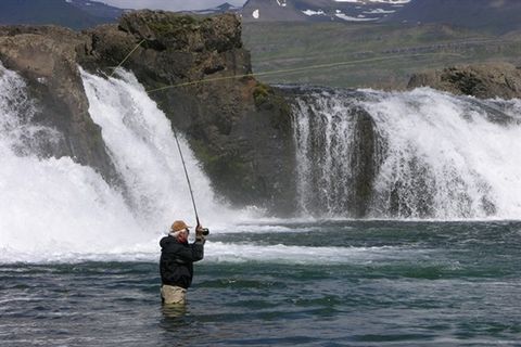 Angling Service Strengir