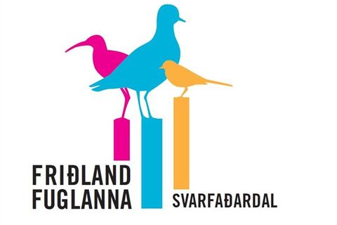 The Birdland - exhibition