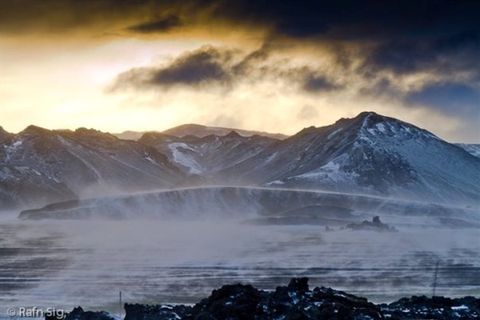 Discover Wild Iceland ehf