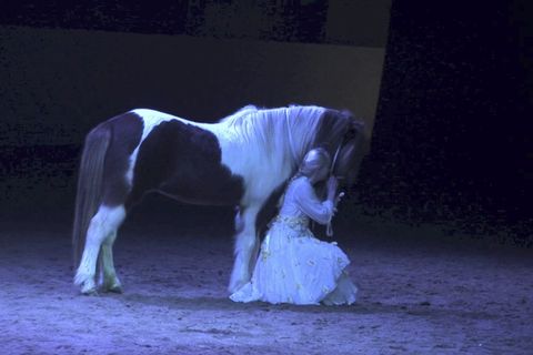 Horse Theatre and Northern Lights