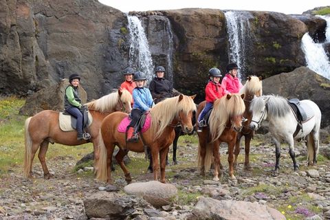 Giljar - Horses & Handcrafts