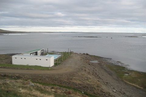 Birkimelur Swimming pool
