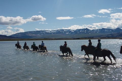 Guðrún Fjeldsted