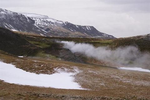 Reykjavik Safari