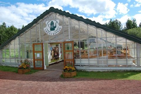 Græna kannan Organic Café