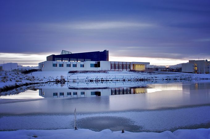 The Nordic House