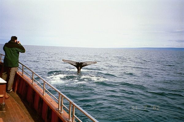 http://cdn.mbl.is/generic/icemon/visic/5465_1___Selected.jpg