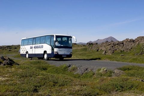 Akureyri Bus Company