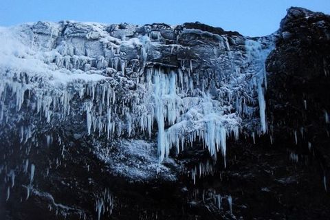 Boreal