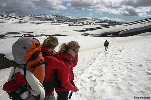 Iceland Guest