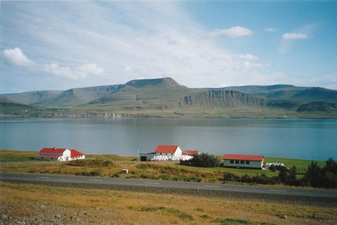 Námshestar