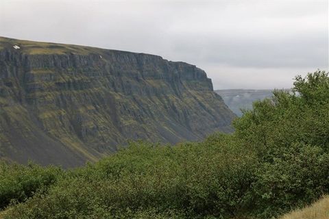 Fjallavinir sf.