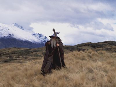 Lord of the Rings The Fellowship of the Ring