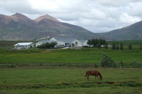 Laxnes Horse Farm