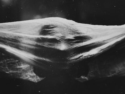 A Thousand Tongues