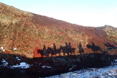 Islenski hesturinn - The Icelandic Horse