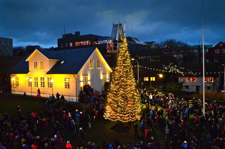 Icelandic Christmas trees for Greenland and Faroes