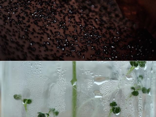 Above / Below horizon- Exhibition
