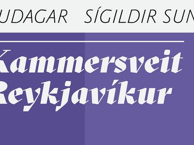 Reykjavik Chamber Orchestra