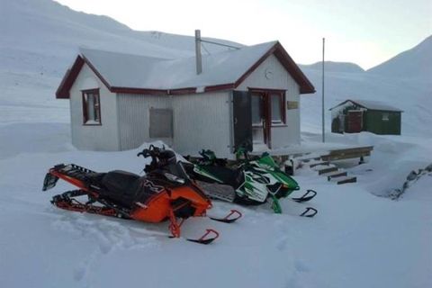 Lambi - Ferðafél. Akureyrar/ITA