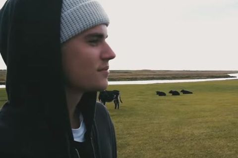 Justin Bieber with Icelandic cows in the background.