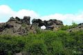 Dimmuborgir Hraunhlaupið verður við Mývatn síðasta föstudag í maí.