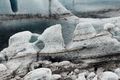 Jökulstál Jöklar eru síbreytilegir enda bráðna þeir og ummyndast á degi hverjum. Þeir draga upp hinar ólíkustu myndir af kynjaverum eins og sjá má á þessum sem eru í Breiðamerkurjökli.