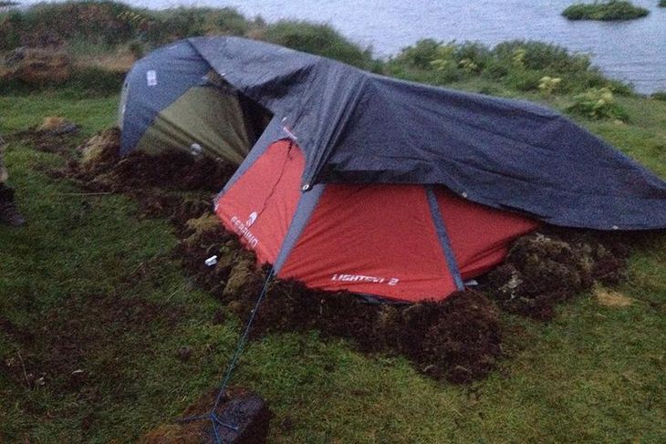 Tjöld ferðamanna einangruð með mosa.