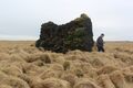 Klettur Hraundrýlið í Rútsstaðalandi er í þúfnakarga og lætur ekki mikið yfir sér, en leynir samt á sér.