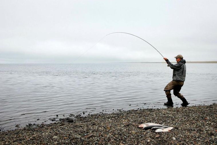 Arctic char stocks depleting in Iceland's rivers and lakes - Iceland ...