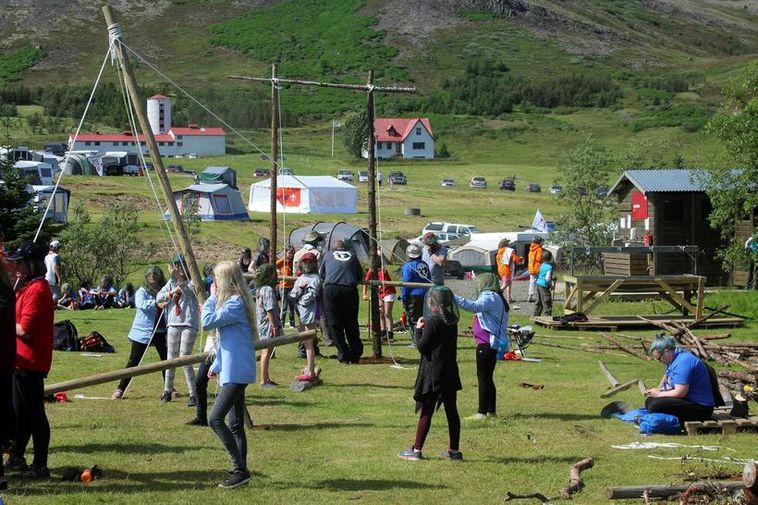 Dozens of young scouts travelling in Iceland stricken with stomach bug ...