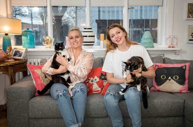 First cat  caf  set to open in Reykjavik  Iceland Monitor