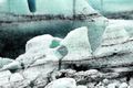 Jökulstál Jöklar eru síbreytilegir enda bráðna þeir og ummyndast á degi hverjum. Þeir draga upp hinar ólíkustu myndir af kynjaverum eins og sjá má á þessum sem eru í Breiðamerkurjökli.