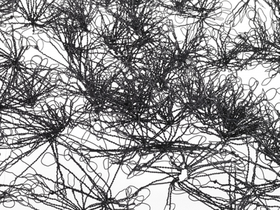 Roots and Tangles | Exhibition