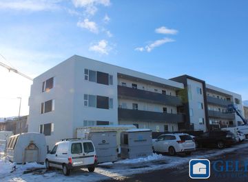Davíðshagi 6 107