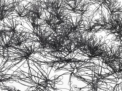 Roots and Tangles | Exhibition